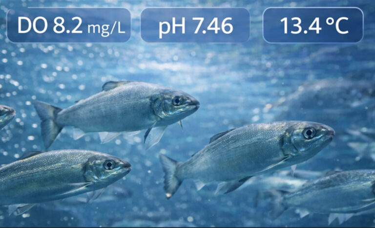 dissolved oxygen in aquaculture and aquariums. Why it is so important