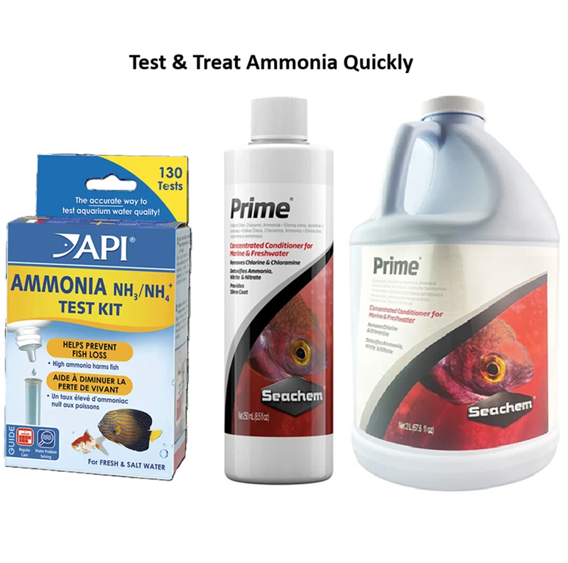 ammonia detoxifier for fish and aquaculture with ammonia test kit for checking levels